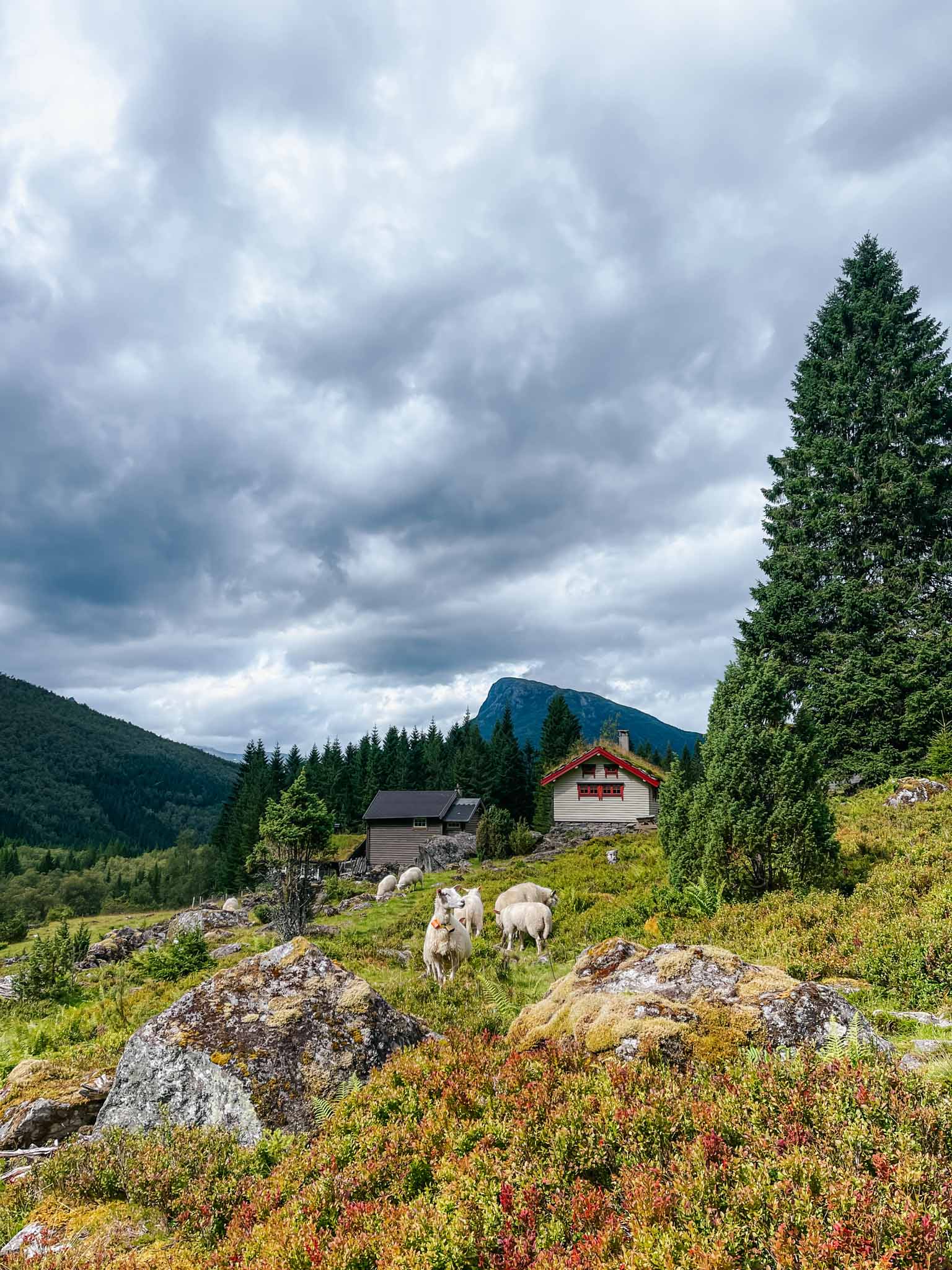 slogenrunda-med-ilag-etappe-3-1
